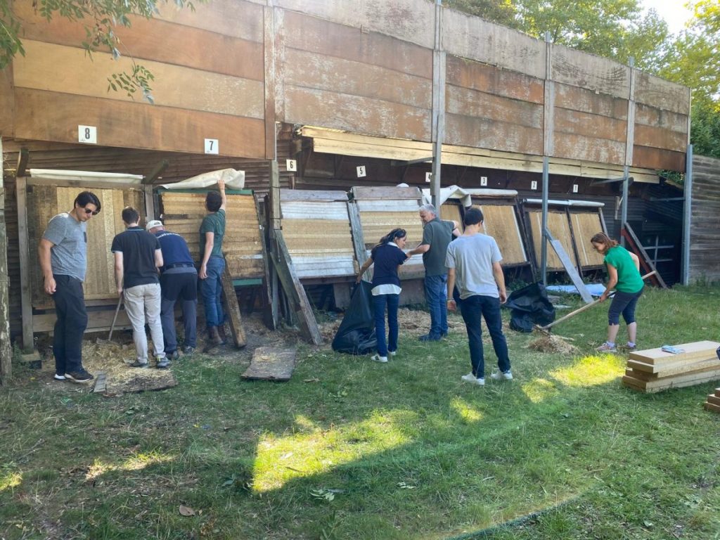 WhatsApp Image 2023.38.26