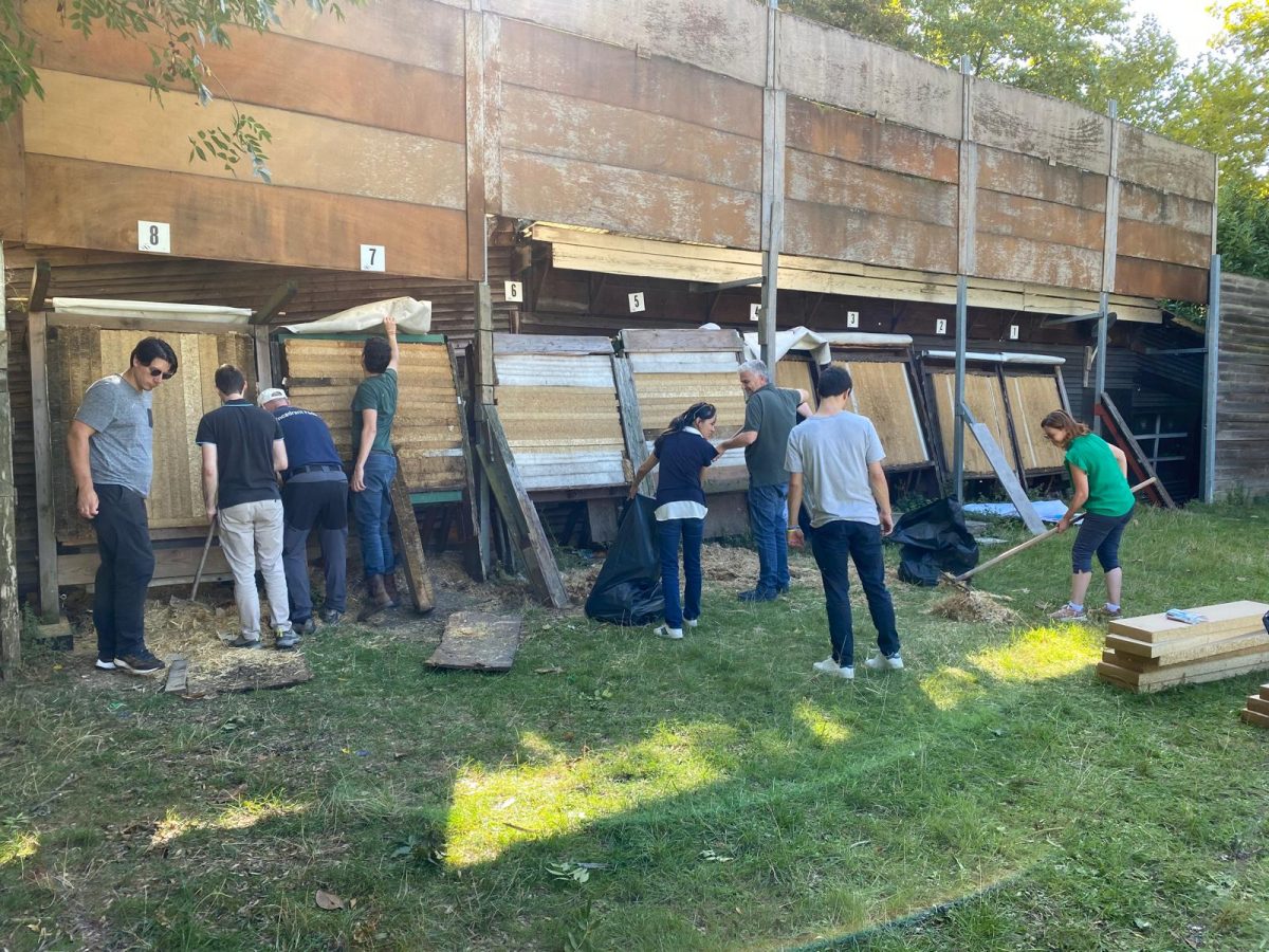 Remplacement des stramits : mobilisation des membres du club